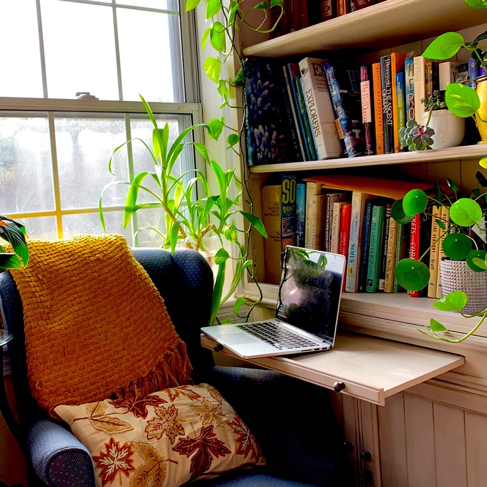 Meet your Posher, Thembi